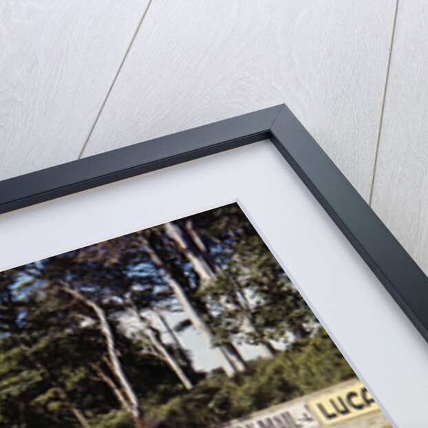 Motorcycle racing by Manx Press Pictures