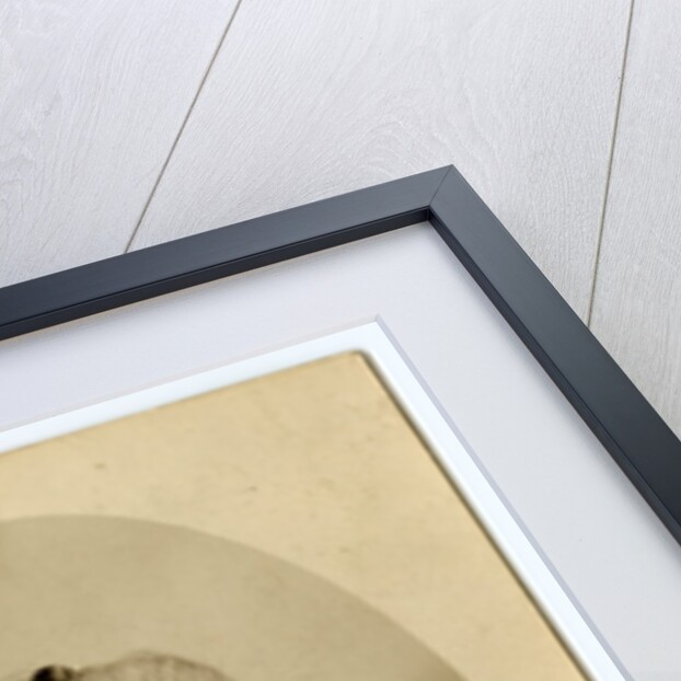 Mrs Mary Agusta Kneale (nee Sumner) - studio portrait by George Bellett Cowen