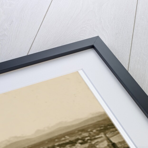 Panoramic view of Douglas by Anonymous