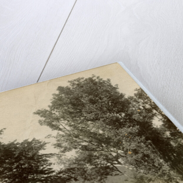 Milntown, Ramsey by George Bellett Cowen