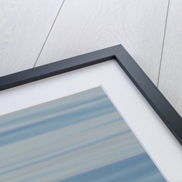 A Manx Shearwater by Lara Howe