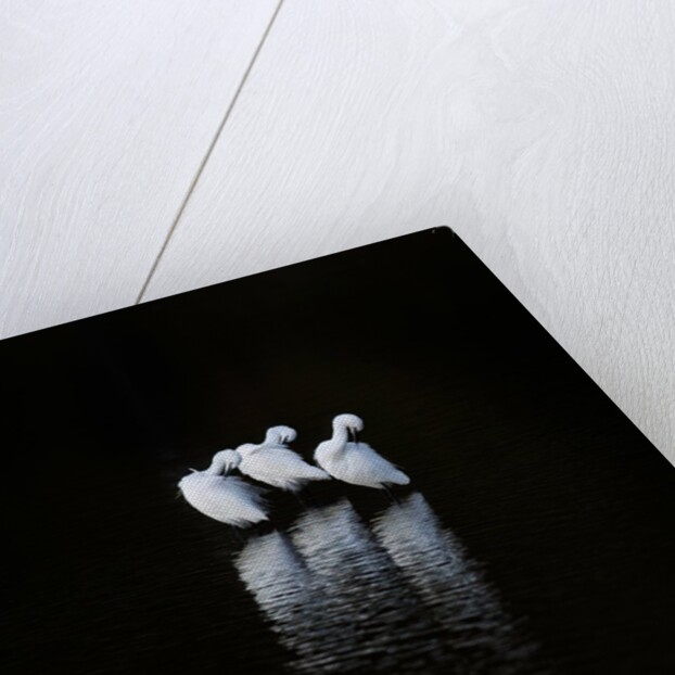 Threegrets by Paul Quellin