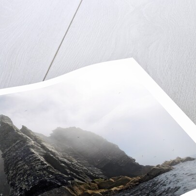 Sugarloaf rock by Dave Kneale