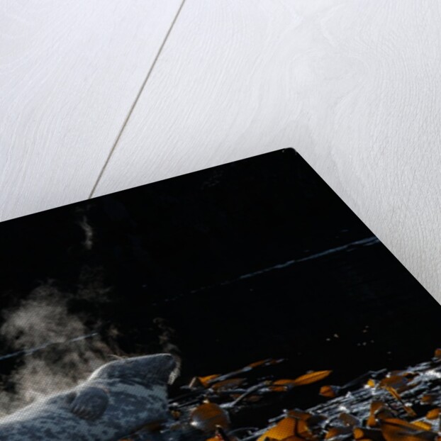 Hot stuff by Lara Howe