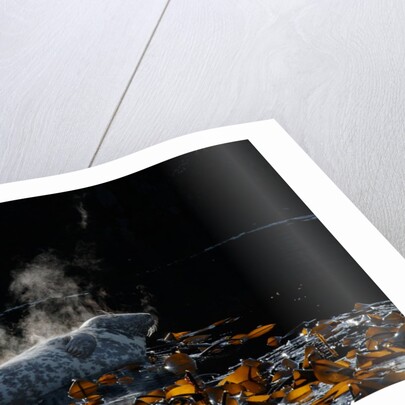 Hot stuff by Lara Howe