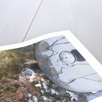 Hugh's frogs and frogspawn by Hugh Harris