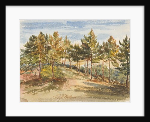 Woodland by Georgina Gore Currie