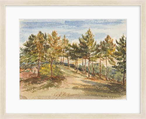 Woodland by Georgina Gore Currie