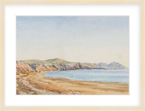 The Wreck of the Surinam by Georgina Gore Currie