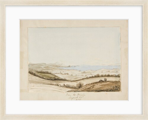 From the Domain by Georgina Gore Currie