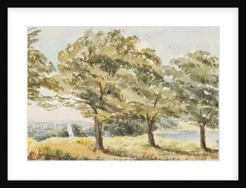 Trees in field by Georgina Gore Currie