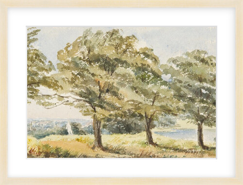 Trees in field by Georgina Gore Currie