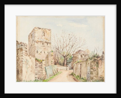Rushen Abbey - General View by Henry Dryden