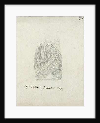 Captain Latham's Grenadir Cap by Will Latham