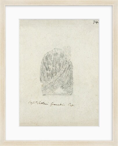 Captain Latham's Grenadir Cap by Will Latham