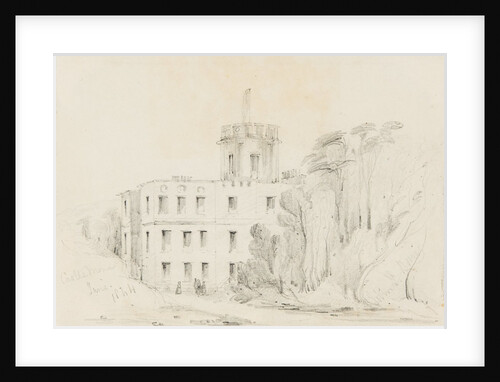 Castle Mona by John L. Bourg