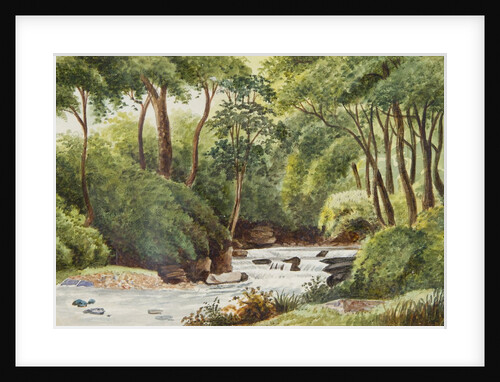 View in Ballaglass by Unknown