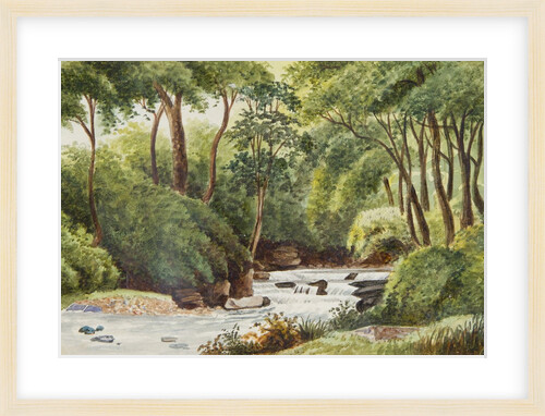 View in Ballaglass by Unknown