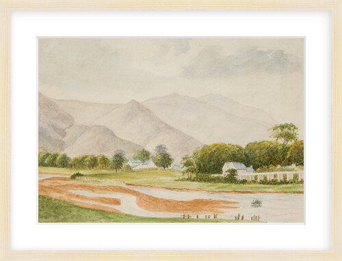 The Claddagh by Unknown