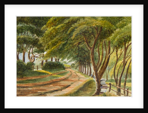 Claughbane by Unknown