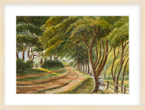 Claughbane by Unknown