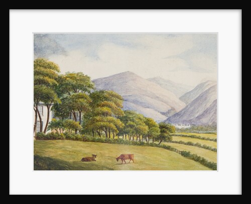 View from the Grove, Lezayre by Unknown