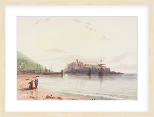 Peel by Emily M. Fane