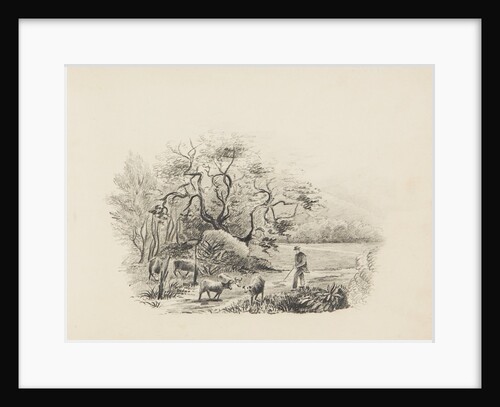 Farmer with cattle by Unknown