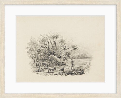 Farmer with cattle by Unknown