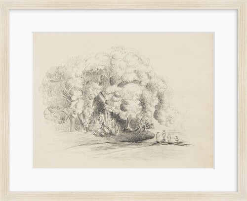 Ballamoar, Isle of Man. View of pond with ducks, surrounded by tall trees and greenery by Unknown