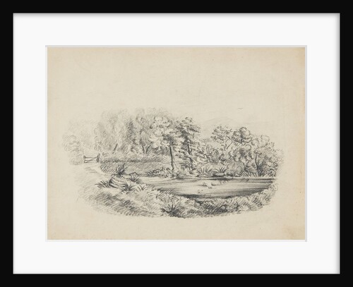 Ballamoar, Isle of Man. View of pond with ducks, surrounded by tall trees and greenery by Unknown