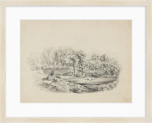 Ballamoar, Isle of Man. View of pond with ducks, surrounded by tall trees and greenery by Unknown
