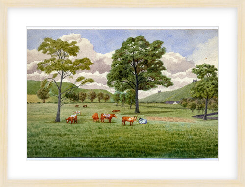 Untitled by Robert Evans Creer