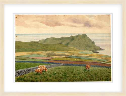 Calf of Man From Cregneash by Robert Evans Creer