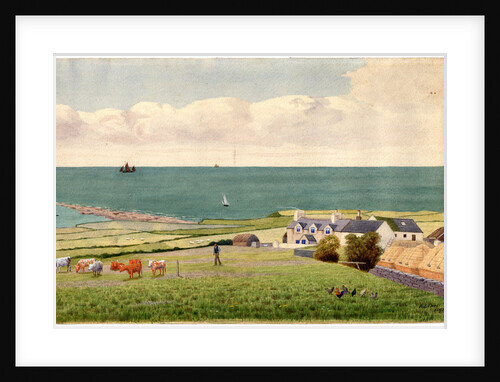 Mr Quirk's Balladha Farmhouses, Dalby by Robert Evans Creer