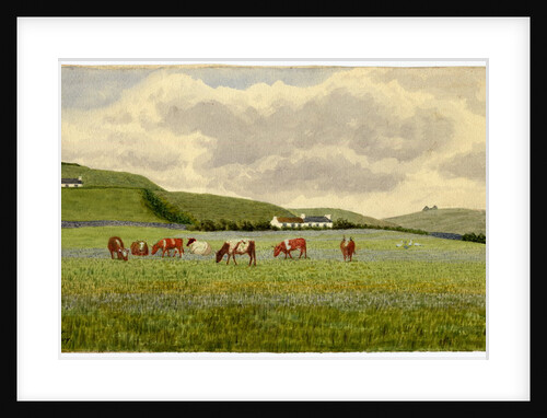 View Near Balladha by Robert Evans Creer