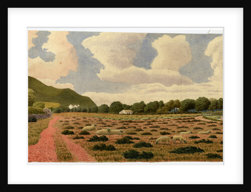 Untitled by Robert Evans Creer
