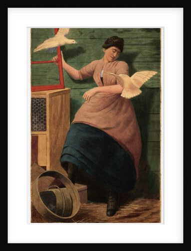 Doves by Robert Evans Creer