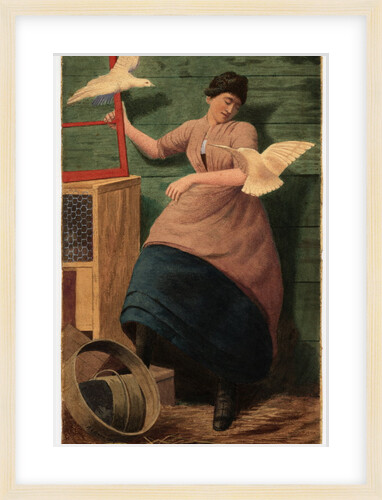 Doves by Robert Evans Creer