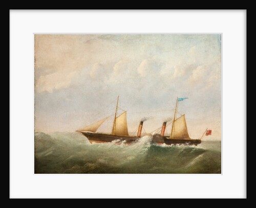 The 'Manx Fairy' by Samuel Walters