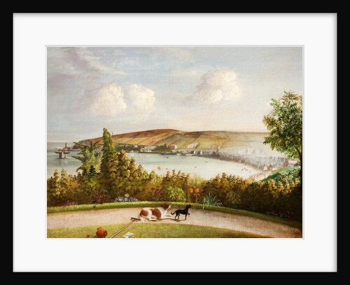 Douglas from Castle Hill Garden by Will Johnson