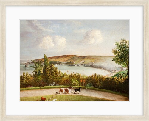 Douglas from Castle Hill Garden by Will Johnson