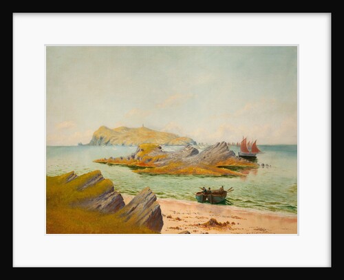 Calf and Kitterland by Colchester
