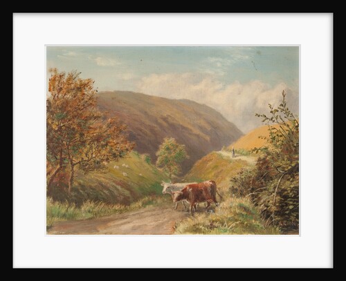 Looking Down Glen Rushen, Patrick by George Goodwin