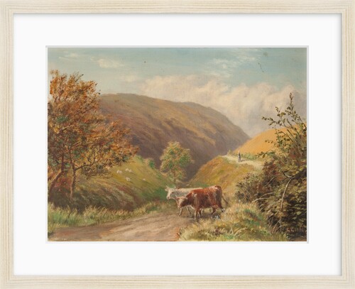 Looking Down Glen Rushen, Patrick by George Goodwin