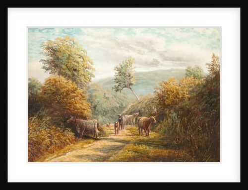 Sulby Glen, Lezayre by Raymond Dearn
