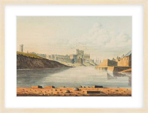 Tour through the Isle of Man in July 1815 by S. D. Swarbreck