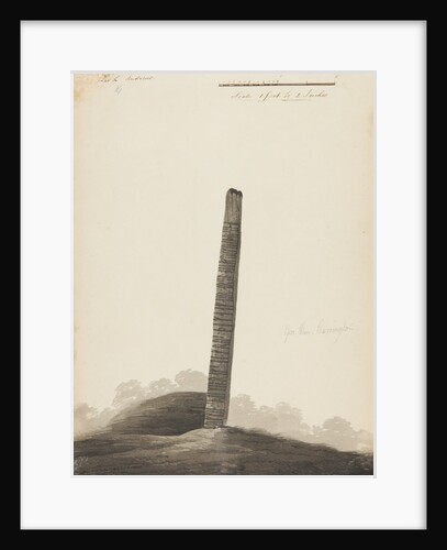 Runic monuments of the Isle of Man by George William Carrington