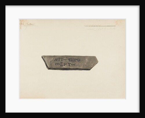 Runic monuments of the Isle of Man by George William Carrington