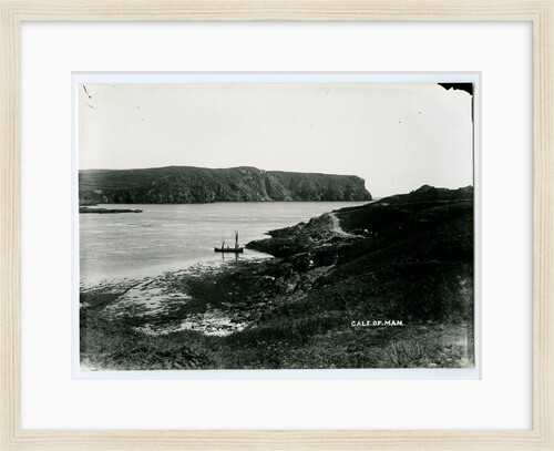 The Calf and Sound by George Bellett Cowen